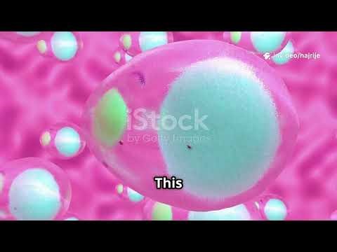 Insulin's Journey A 3D Animation