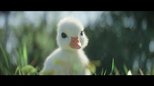 38 reactions · 14 shares | Come to the Happiest Place On Earth, where dreams do come true! | Disneyland | Facebook