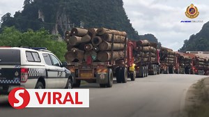 3.8K views · 45 reactions | The Road Transport Department has clarified that the JPJ vehicles escorting several timber laden lorries in Kelantan were actually part of a special timber lorry operation implemented by the state department. Read more at https://bit.ly/3ERWXkR WATCH MORE: https://thestartv.com/c/news SUBSCRIBE: https://cutt.ly/TheStar LIKE: https://fb.com/TheStarOnline | The Star | Facebook