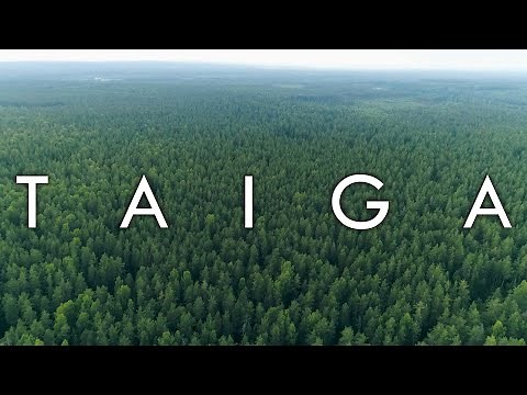 The Taiga Biome (Boreal Forest) - Biomes #7