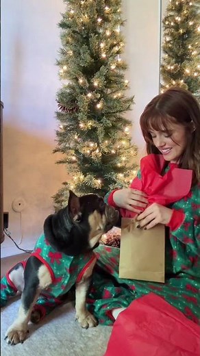 Black Friday is here! 🎄 Save on everything from festive favorites to pet essentials. #petsmart