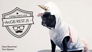 ArcGIS REST JS: Portal and Server API