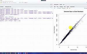 142-R语言：回归诊断