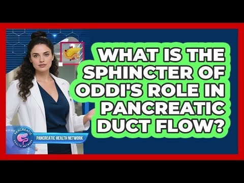 What Is The Sphincter Of Oddi's Role In Pancreatic Duct Flow? - Pancreatic Health Network