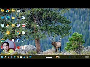 Understanding the Uses of a Computer Mouse