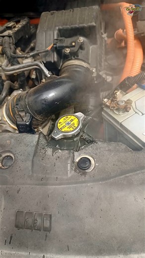 Radiator Pressure 😱 How To Open Radiator Cap #mechanic | Car Tips Tv