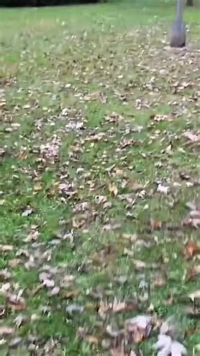 josh pid on Instagram: "HELP!!!!’ #Insta #instadaily #help #helpme #trailerparkboys"