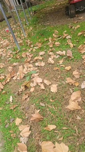 19 reactions | Art Noel on Reels | Facebook