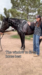 🔄 The window to best fit the horse with a saddle. ➡️ it’s important to fit the horse in different phases , at a walk, trot and canter which allows us to see how the saddle corresponds with out pressure and with pressure . 🔝➡️ if your looking for an opportunity to learn together … Book a clinic in 2026… find a fitting clinic with Wendy, or take an hour out of your day for a virtual call . 🔜https://www.winnhorses.org/virtual 🔜https://www.winnhorses.org/horsemanship-clinics 🔛 looking forward t