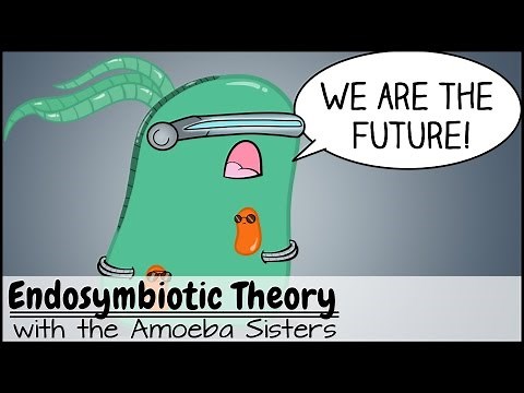Endosymbiotic Theory