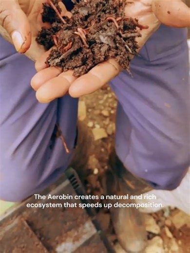 Watch how the Aerobin transforms organic waste into nutrient-rich compost. The Aerobin creates its own self-sustaining ecosystem. Even earthworms come naturally, no need to add them! From organic waste to healthy soil the nature's cycle continues. #healthysoil #compost #garden #nature #fyp
