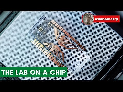 Microfluidics and the Elusive Lab-on-a-Chip