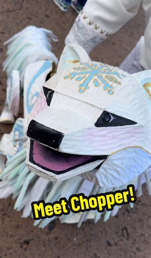 Meet Chopper at Disney World: A Magical Experience