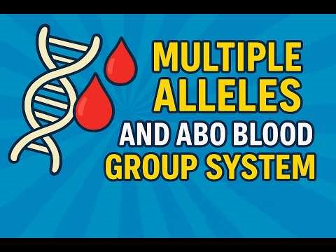 MULTIPLE ALLELES and ABO BLOOD GROUPS IN HUMANS