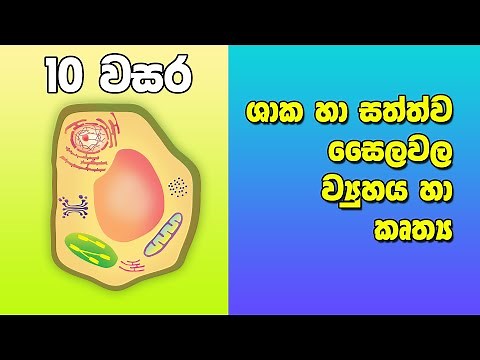 Grade 10 Science in Sinhala Medium | 10 විද්‍යාව 6 පාඩම| ශාක හා සත්ව සෛලවල ව්‍යුහය හා කෘත්‍යය