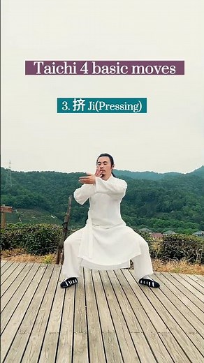 Taichi 4 basic moves