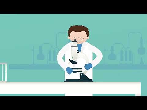 Alternatives for animal testing | WUR