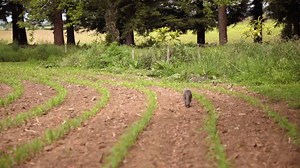 Bruce Graham alumni of Te ara reo Māori and He Papa Tikanga shares why as a Pakeha it was important for him to be comfortable with Māori processes | Te Wānanga o Aotearoa