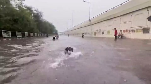 Iodised, pink, black, low-sodium: Which salt actually wins?