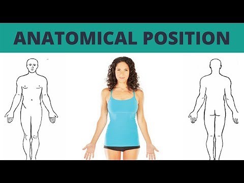 How to Describe Anatomical Position - TERMINOLOGY #1