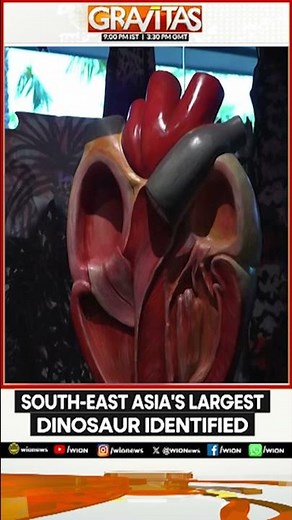 New Long-Necked Dinosaur Species 'Nagatitan' Identified in Thailand | GRAVITAS