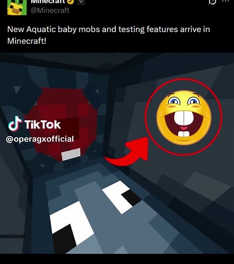 Minecraft's Funny Baby Squid in New Update