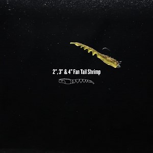 1K views | Berkley Fishing on Reels | Facebook