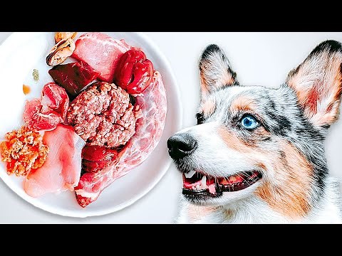 How To Raw Feed Your Dog (Ultimate Beginner's Guide)