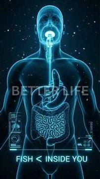 What Happens to Fish Inside Your Body — Digestion Explained (3D Science Animation)