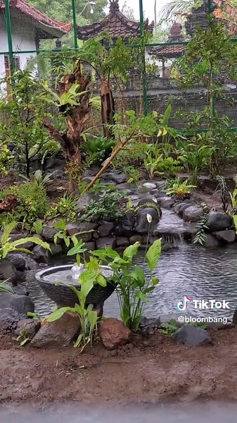 Mini Aviary Design Ideas for Your Home with Natural Kolam Feature