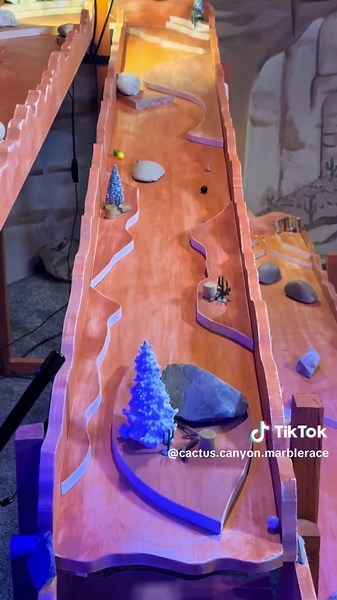 Season 6 Race 11/30🤠🏁✨ #marblerace #marbleracing #marbles #marblerun #cactuscanyonmarblerace