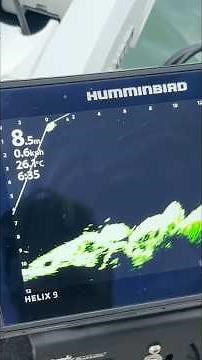 Fishing with sonar mega live humminbird livescope garmin #megalive #livescope