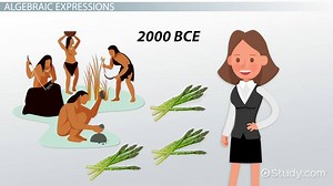 Simplifying Algebraic Expressions | Overview & Examples