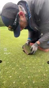 Repairing small damage on the #golf green #greenkeeping #lawncare