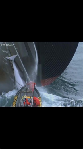 Sea Shepherd's Anti-Whaling Activism in Japan