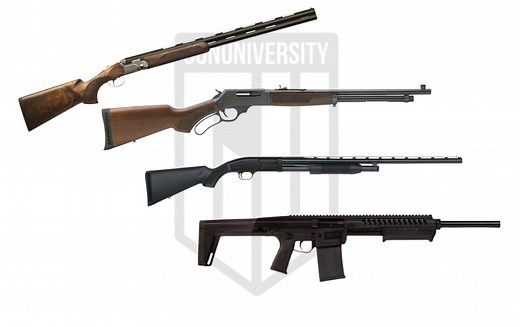 The Best Shotguns [2025]: Home Defense, Tactical & More