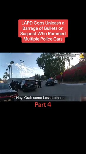 cops | Psicología Social Lucía Alegre