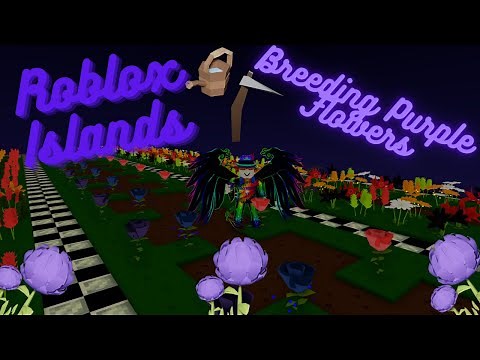 Roblox Islands: How To Breed Purple Flowers