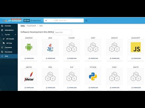 Software Development Kit (SDK) support in WSO2 API Manager
