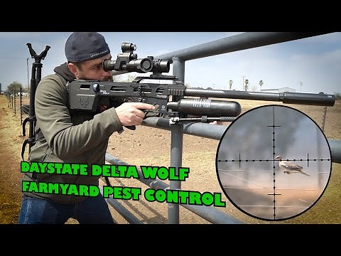 Daystate Delta wolf 177 | Air Gun Pest Control
