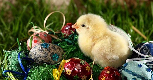 Easter Symbols and Traditions - Easter Bunny, Easter Eggs & Christianity | HISTORY