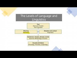 Pragmatics and Semantics / Grammar