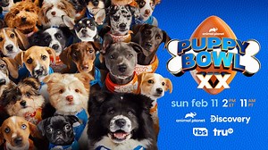 When is Puppy Bowl? Watch puppies take over 20th show production