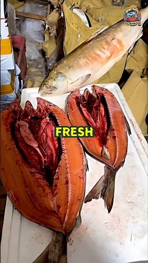 Frozen vs. Fresh Salmon — Texture, Flavor & Facts 🍣🐟 #salmon #salmonfish #seafood