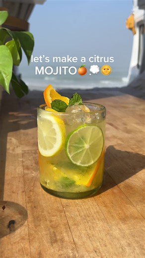 Refreshing Citrus Mojito Recipe