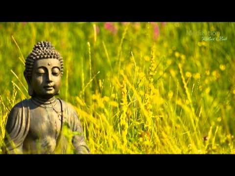 Zen Entspannungsmusik Wellness & Regeneration, Yoga Musik Tiefenentspannung & Meditation