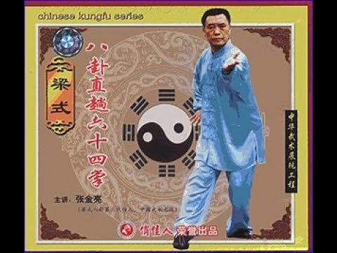 BaGua Liang style 64 Line Work