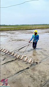 Super effective homemade seed sowing tool #tools #shorts #viral #creative #video
