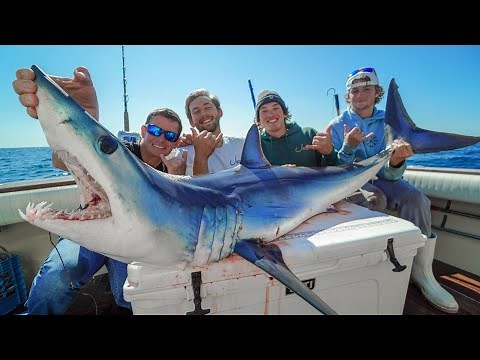 Mako SHARK! Catch Clean Cook (Offshore Fishing New York)
