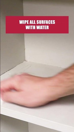 The Quick Guide to Flour Beetles [DIY Pantry Pest Control]